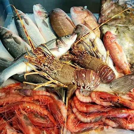 Vacanze A Due Passi Trapani